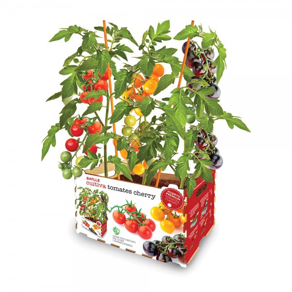 Caja de tomates de colores